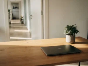 Opgeruimd houten bureau met gesloten laptop en klein potplantje, zachte daglichtinval, op de achtergrond een open kantoorgang.