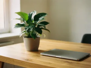 Kamerplant met glanzende groene bladeren op een houten bureau naast een laptop, zacht ochtendlicht vanuit een raam.